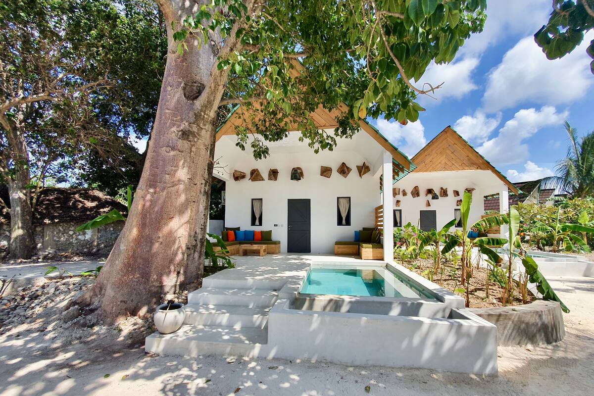 Una casa moderna con piscina, rodeada de plantas tropicales y un gran árbol.