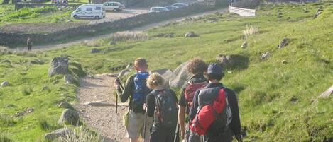 Ein Steinhaus mit der Aufschrift "Ben Nevis Inn", zu dem ein Feldweg führt, umgeben von Grünpflanzen und parkenden Fahrzeugen.