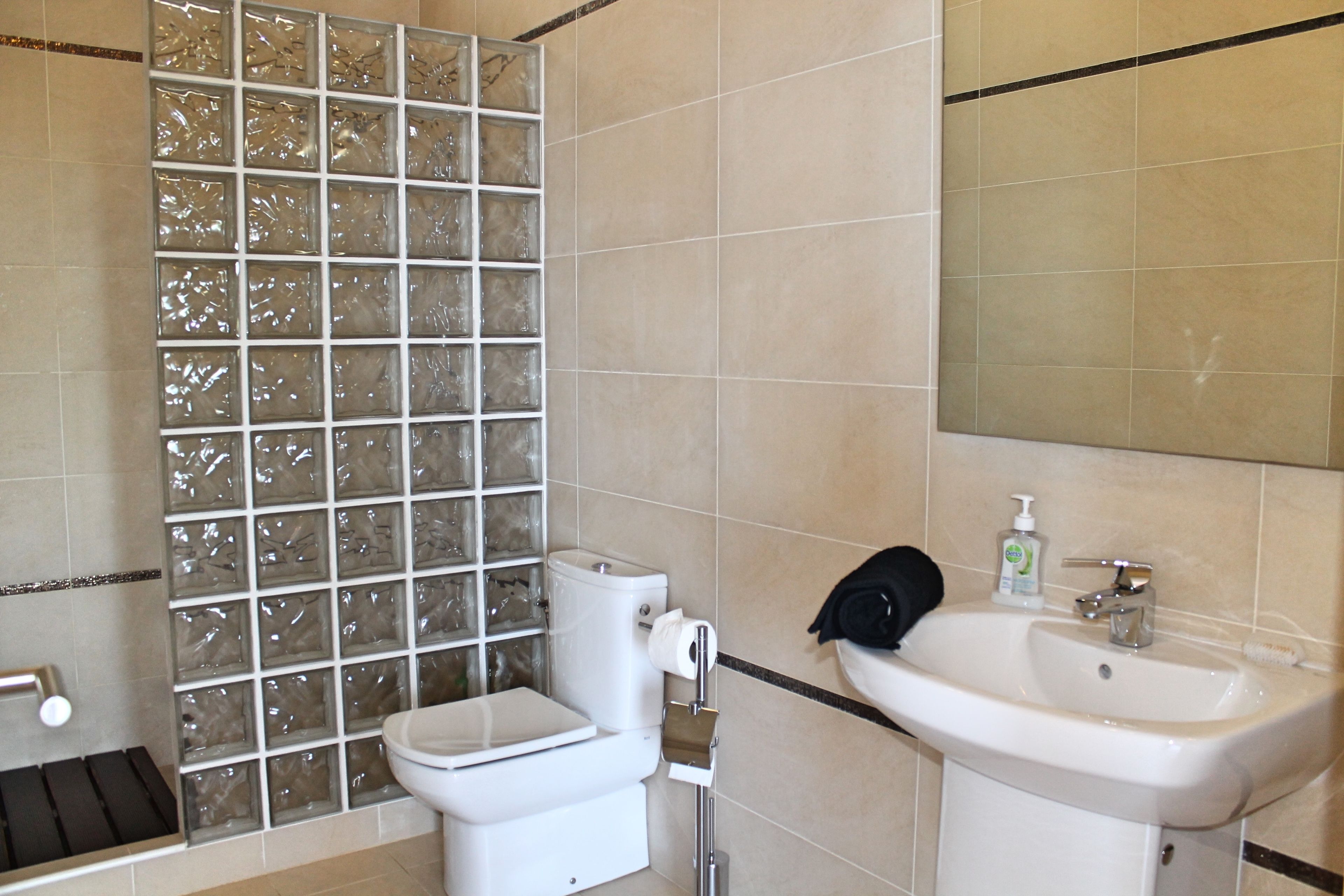 A bathroom with a toilet, sink, and a glass block shower enclosure.