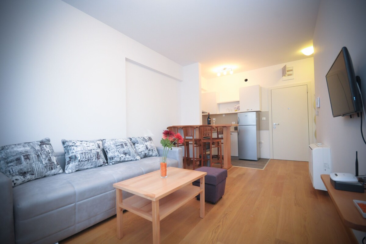 Apartment, 1 Bedroom, Sea View (3) | 起居區 | 平面電視