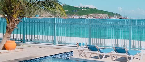 Une piscine avec vue sur la mer et un palmier.