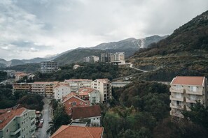 Apartment, 2 Bedrooms (2) | View from room