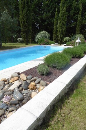 Outdoor pool, pool umbrellas, pool loungers