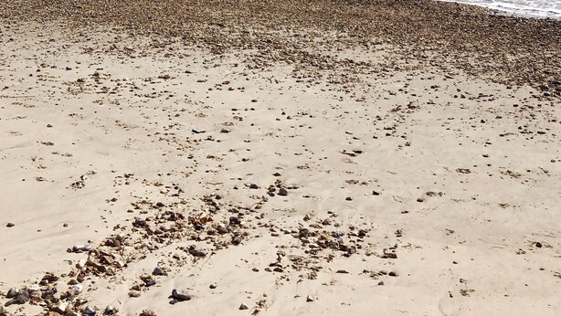 Unclassified image, 1 of 35, button