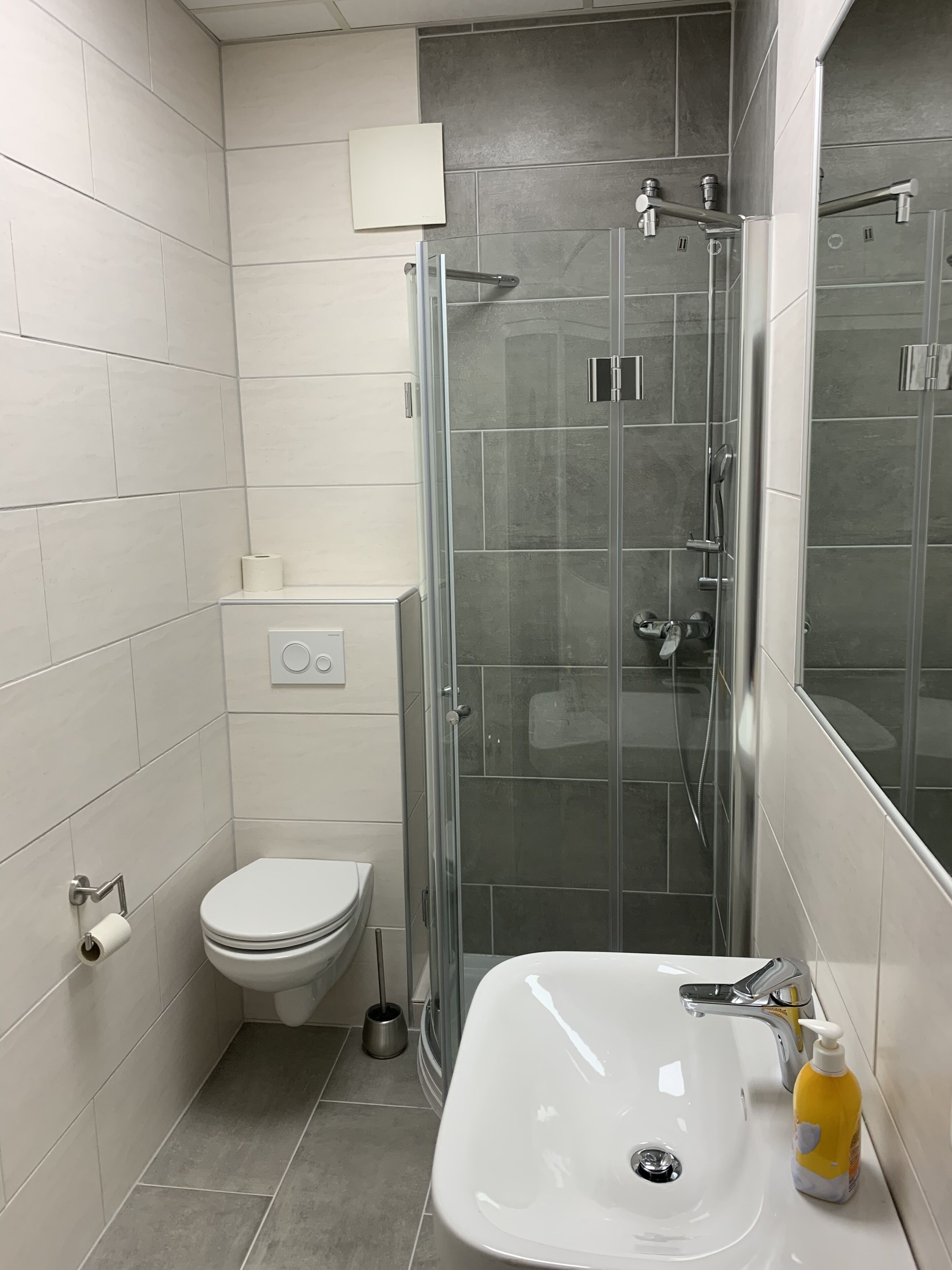 A modern bathroom with a toilet, a glass shower enclosure, and a sink with a soap dispenser.