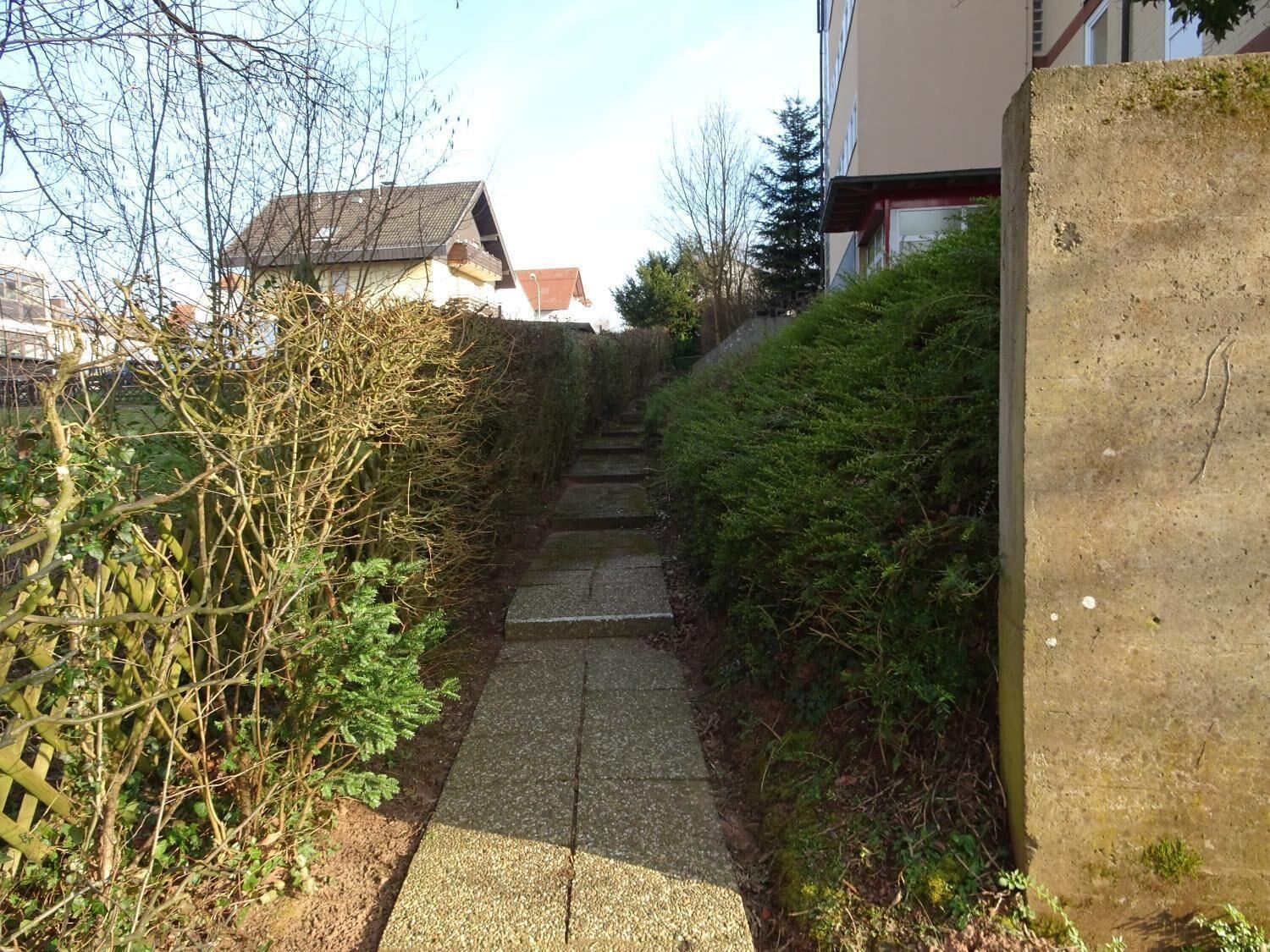 A narrow concrete pathway flanked by dense shrubbery and a concrete wall, leading to a building with a sloped roof.