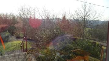A view from a window overlooking a garden with a wooden bench and a metal railing.