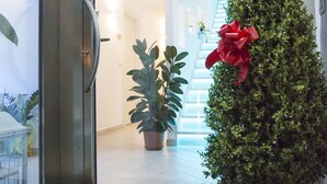 A hotel entrance with a glass door, a potted plant, and a doormat with the name "Maria". - Hotel Maria (Golfo Aranci)