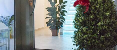 A hotel entrance with a glass door, a potted plant, and a doormat with the name "Maria".