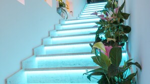 A staircase with illuminated steps and potted plants. - Hotel Maria (Golfo Aranci)