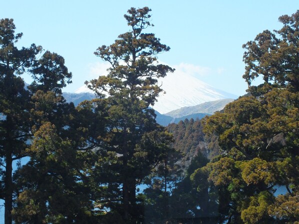 施設からの眺望