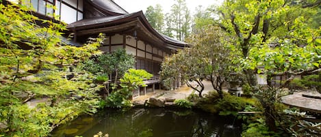 Giardino