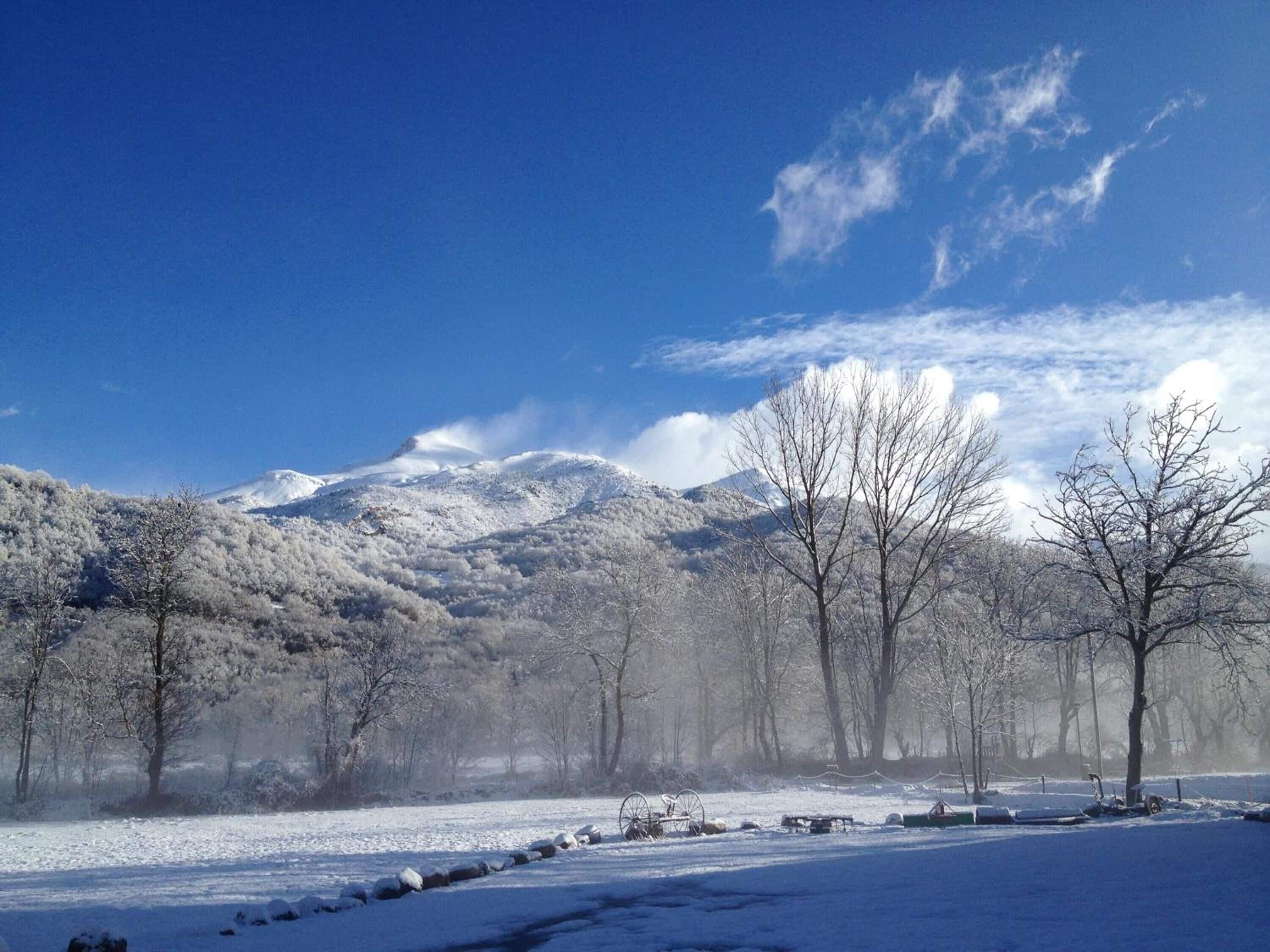 A snowy landscape with a mountain in the background, trees, and a clear sky.