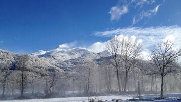 A snowy landscape with a mountain in the background, trees, and a clear sky.