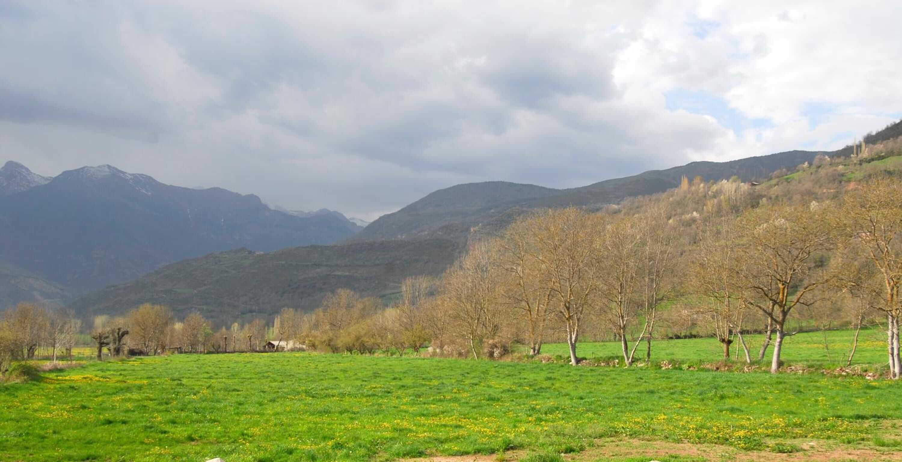 Un paisaje montañoso con un campo verde y árboles.