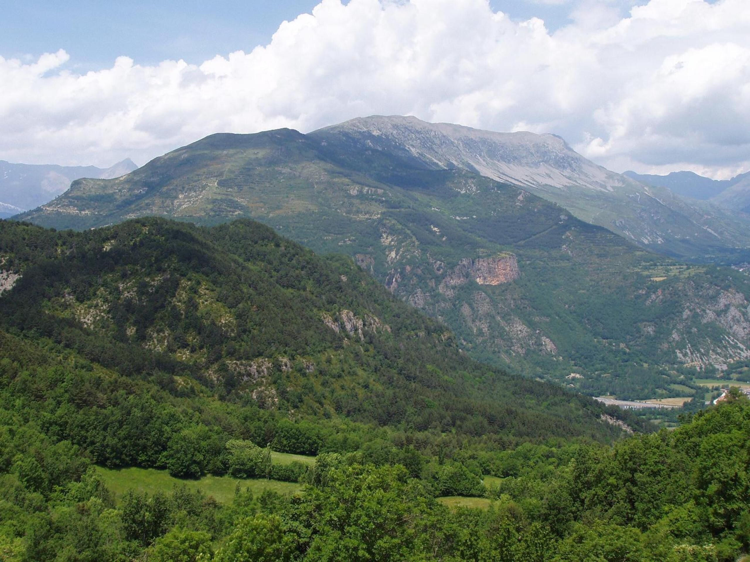 منوع