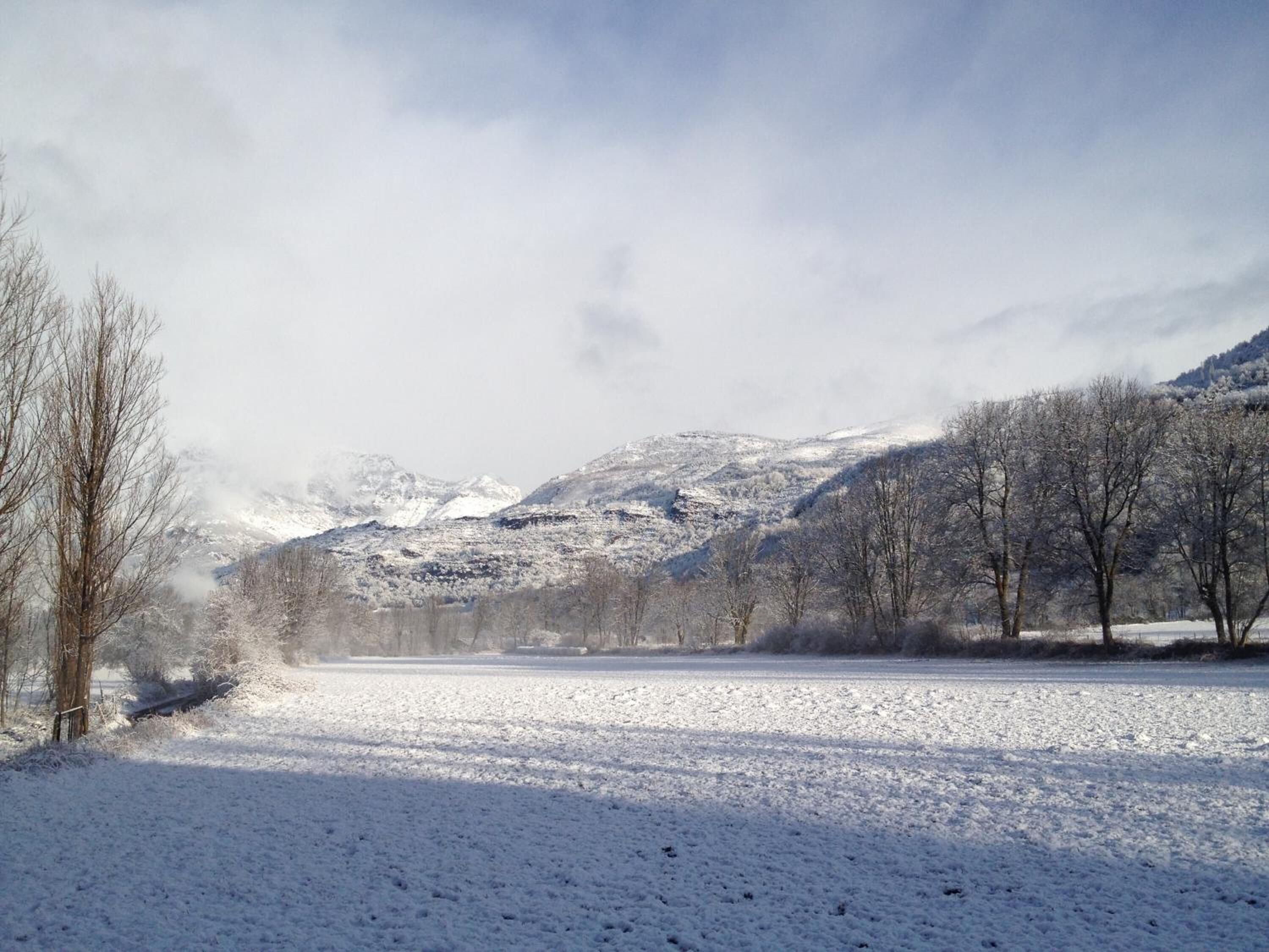 Een besneeerd landschap met een vlak veld, kale bomen en besneeuwde bergen op de achtergrond.
