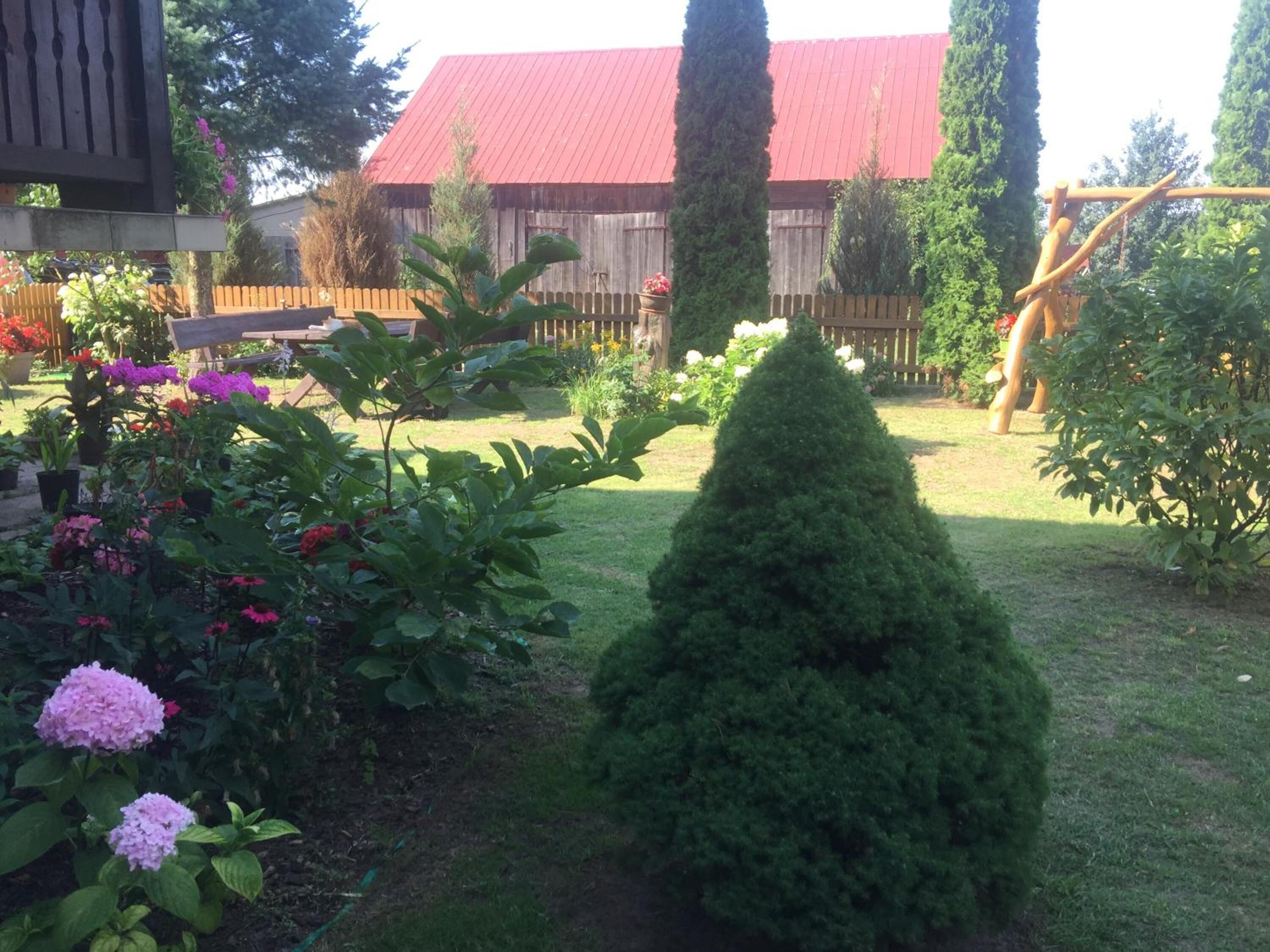 Een verzorgde tuin met diverse planten en bloemen, een keurig bijgesnoeid haag en een houten omheining.