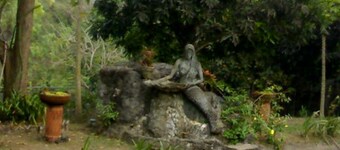 REX Habitat and Cultural Display Area
