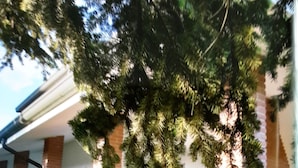 A house with a brick exterior, a covered porch, and various potted plants. - B&B Amy & Julie (Badia Polesine)