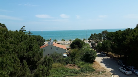 Vista desde la propiedad