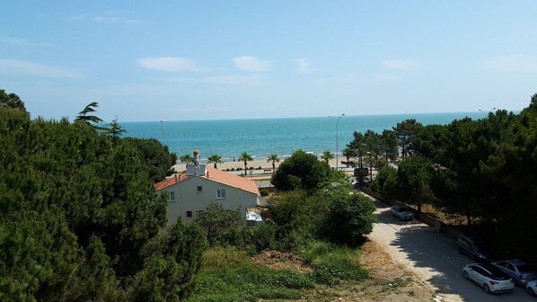 Vista desde la propiedad