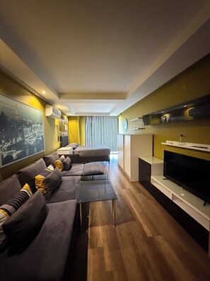 Studio phong cách cổ điển | Khu phòng khách | TV LED 42-inch có truyền hình vệ tinh 