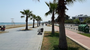 Vista desde la propiedad