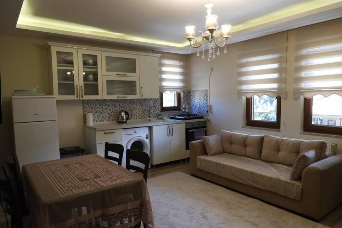 A compact living space with a kitchenette, a dining area, and a sofa.