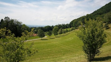 Ein grasbewachsenes Feld mit Bäumen und einer Hügelkette im Hintergrund.