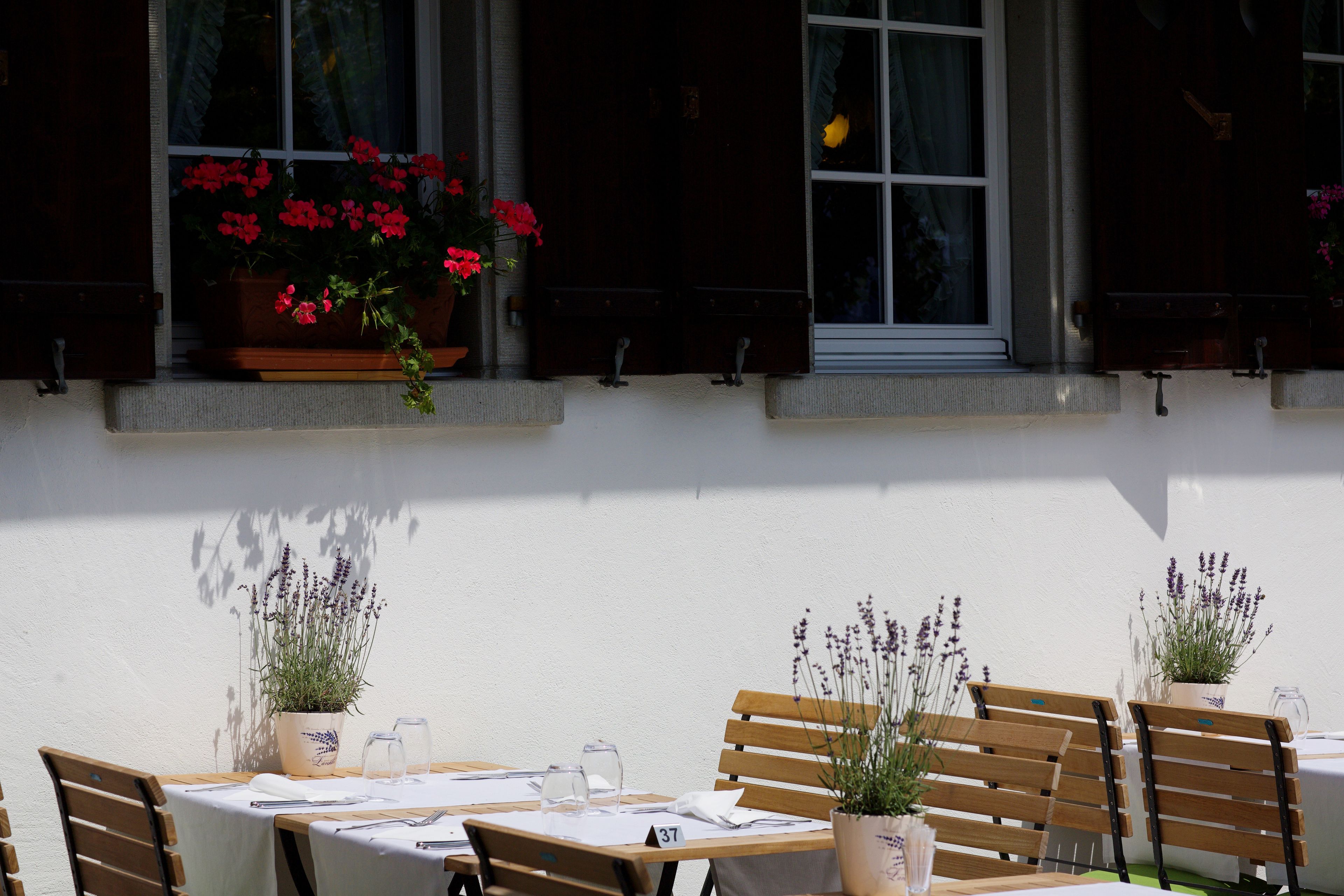 A dining area with tables and chairs, potted plants, and a window with flowers.