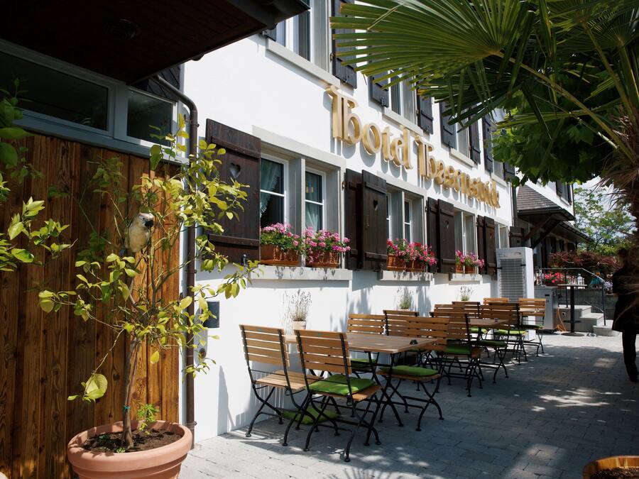 Mittagessen und Abendessen, regionale KĂŒche