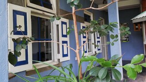 A building with blue and white window frames, a visible door, and a plant in the foreground. - Tea Garden Holiday Inn (Ella)