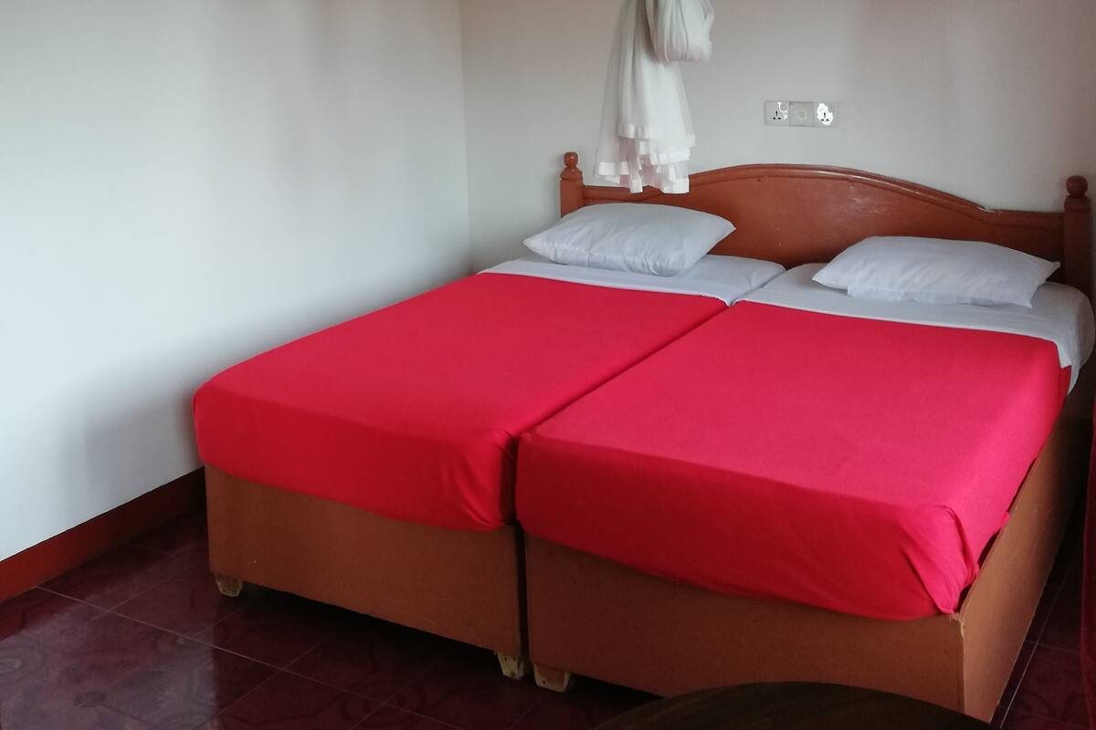 A room with a bed, a mosquito net, and a wall socket.