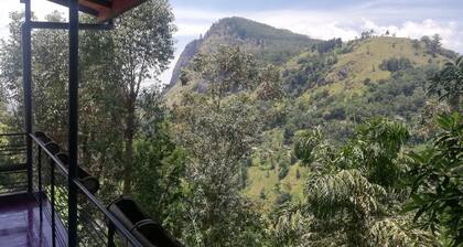 Tea Garden Holiday Inn