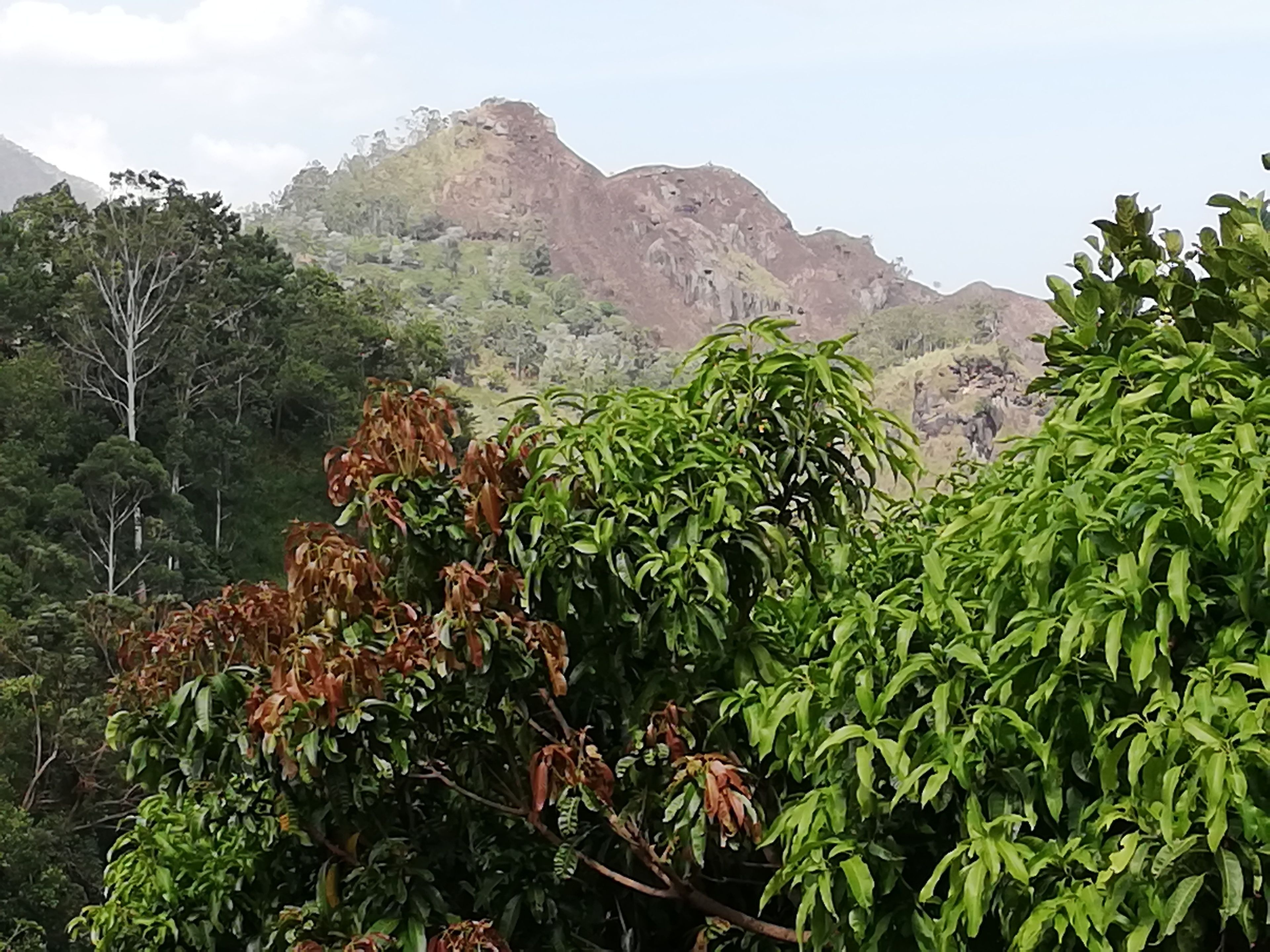 Quang cảnh nhìn từ nơi lưu trú