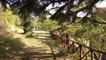 Apartamento família, 3 quartos, para não fumantes | Terraço/pátio