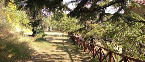 Family Apartment, 3 Bedrooms, Non Smoking | Terrace/patio