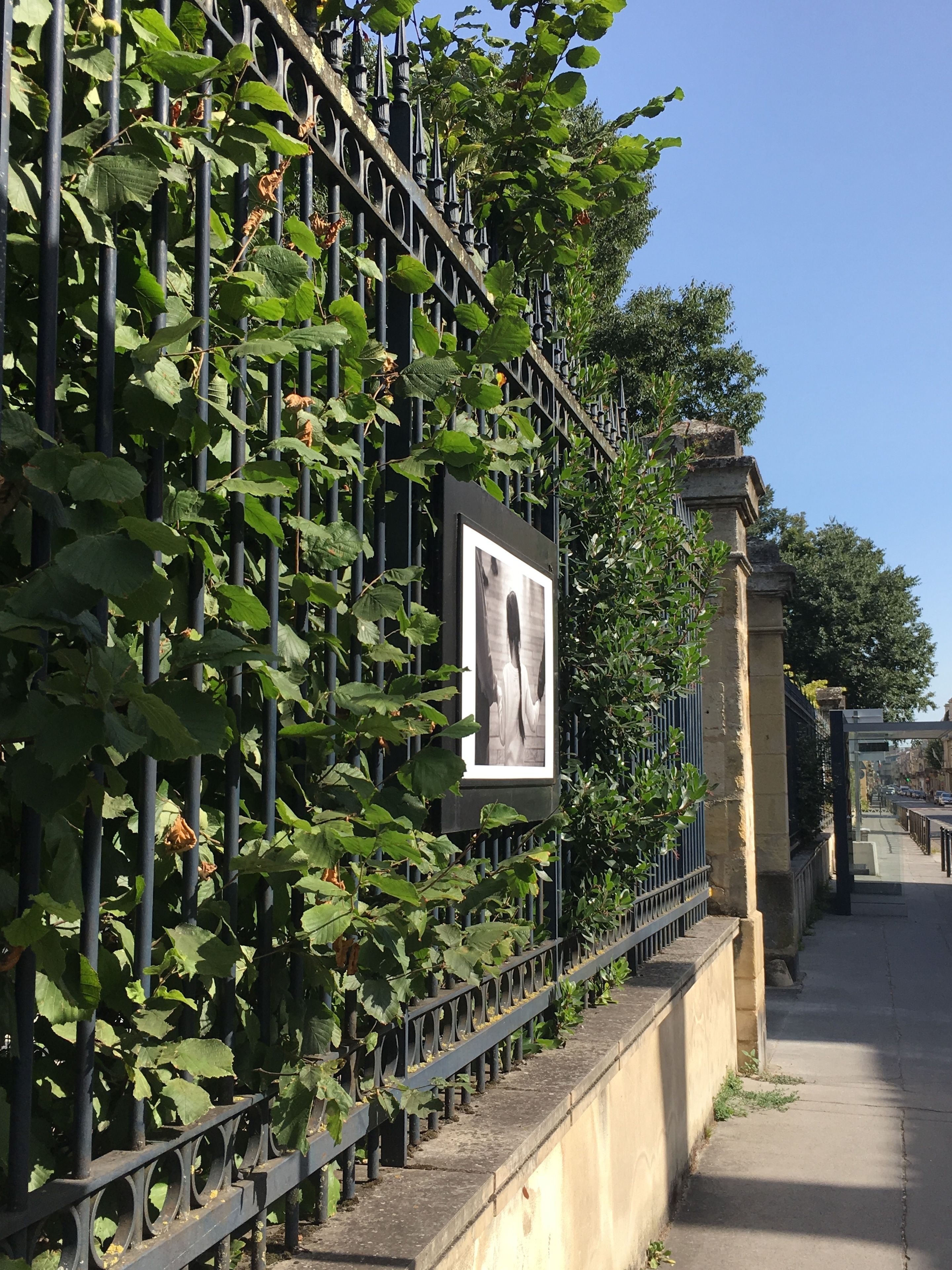 Photo - C'est une maison bleue - a blue lodge in Bordeaux