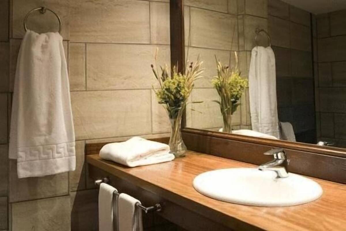 deep-soaking bathtub, free toiletries, hair dryer, towels