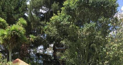 Tu Santuario