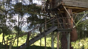 Una cabaña de madera con una escalera que sube a una plataforma, rodeada de árboles.