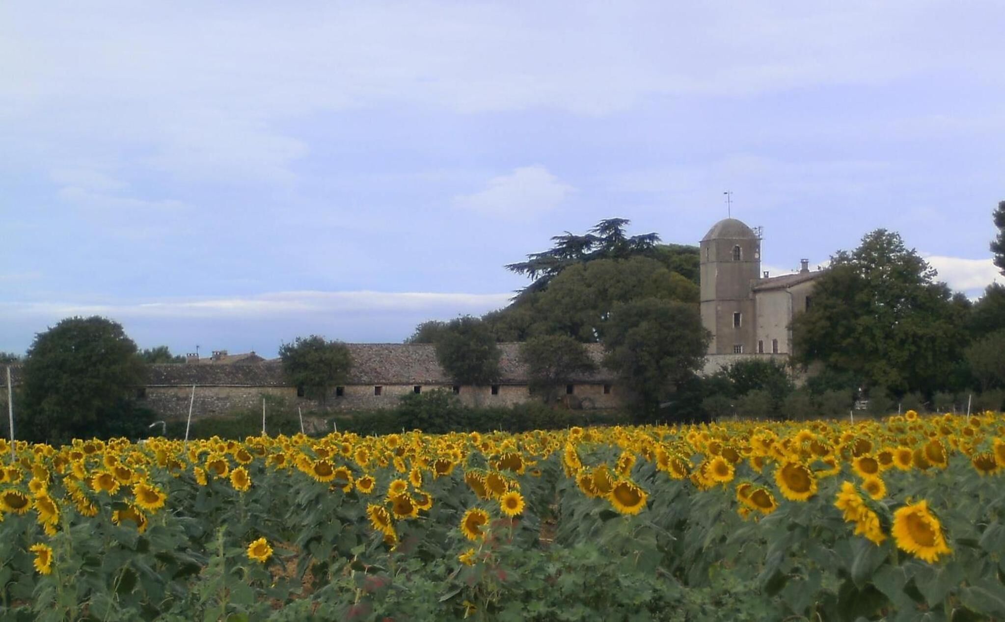 Ein Sonnenfeld vor einem historischen Gebäude mit einem Turm.