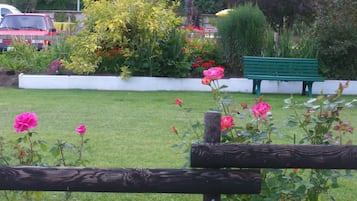 Tuin