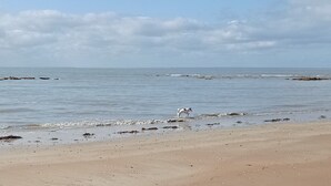 Oklassificerad bild, 5 av 47, knapp