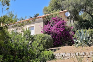 Exterior - Résidence Capicciolo (Olmeto)