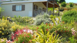 Een huis met een overdekte veranda, omringd door een tuin met verschillende planten en bloemen.