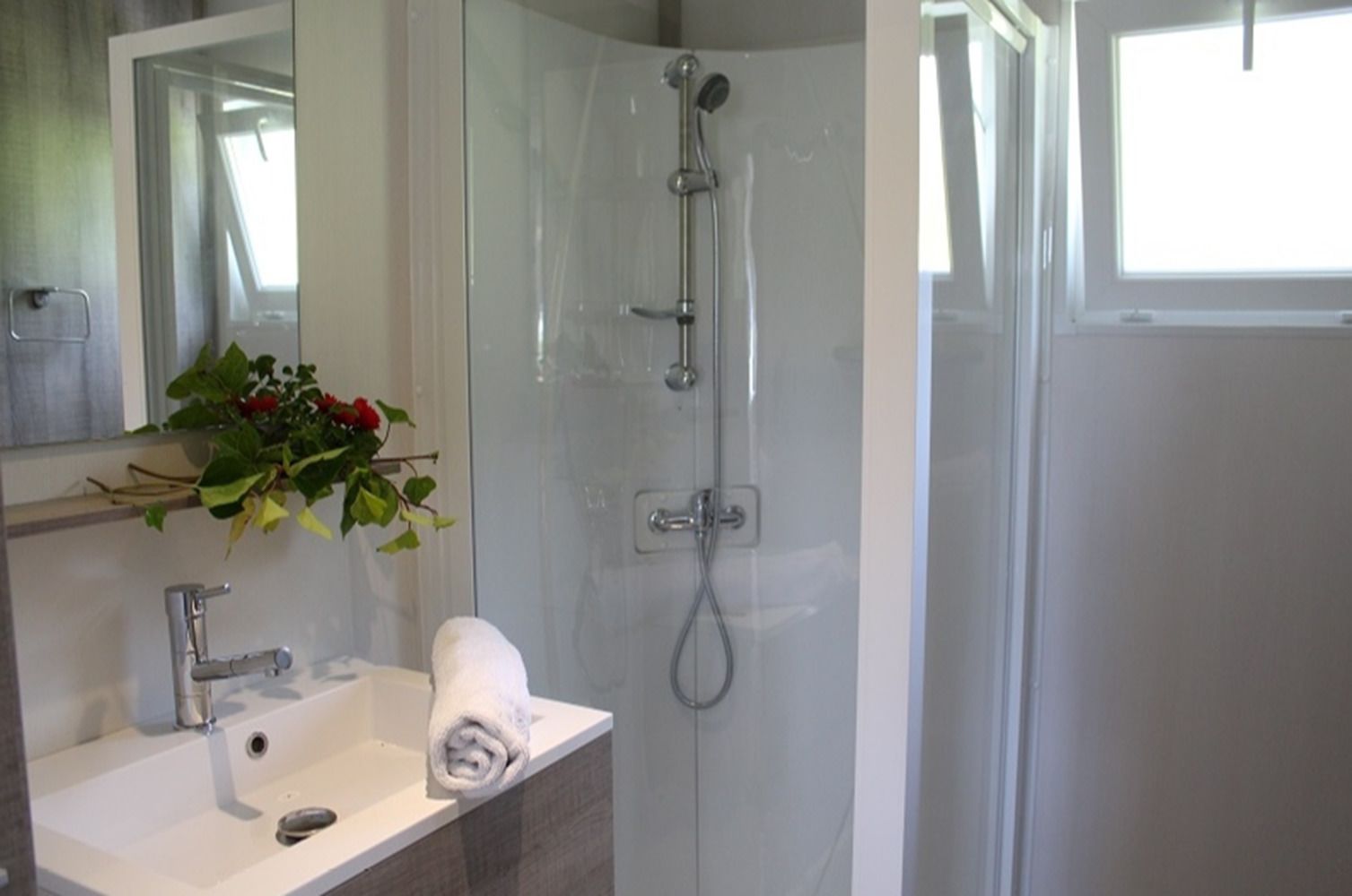 Une salle de bain avec une douche, un lavabo et un miroir.