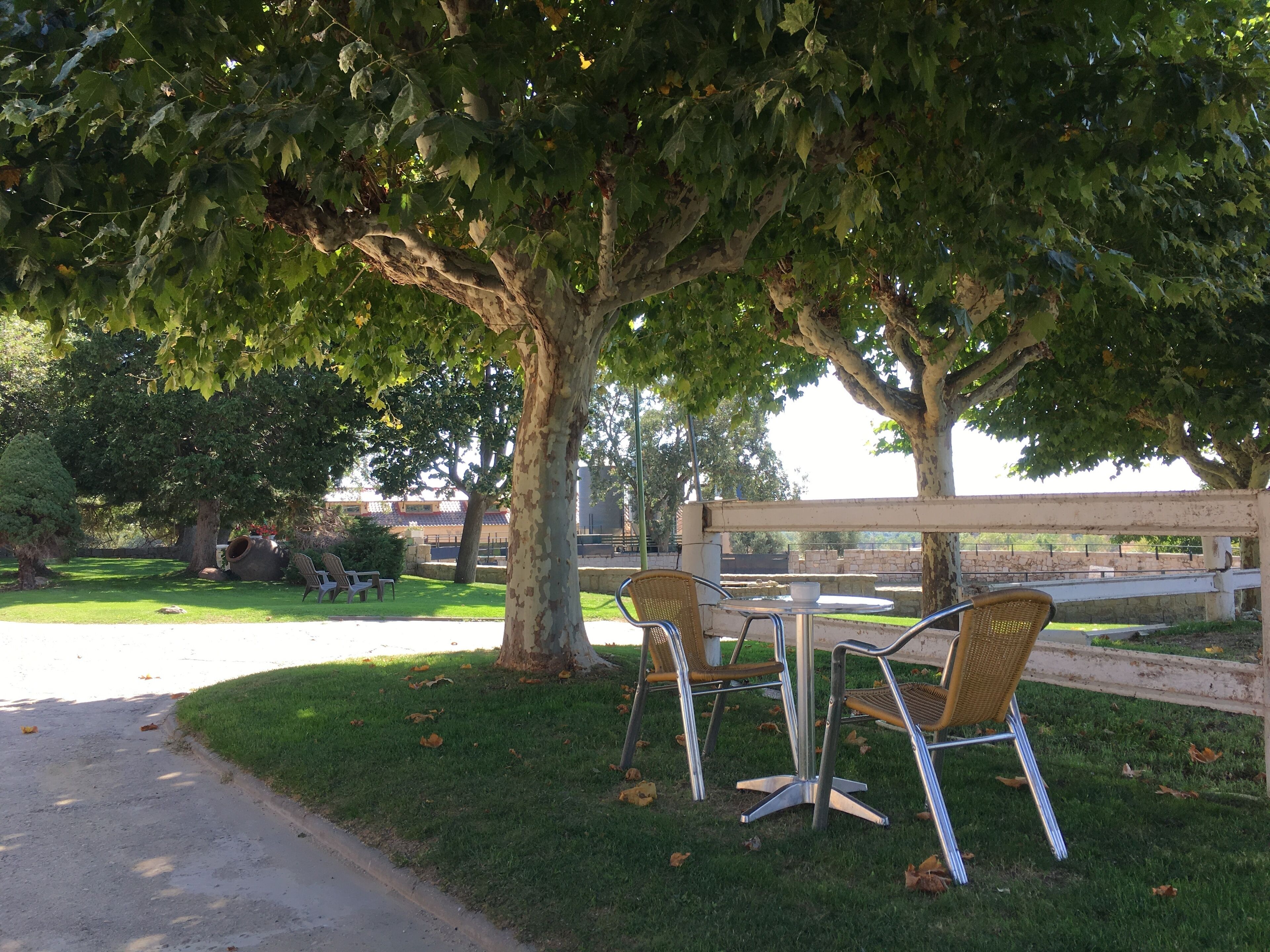 Foto - B&B Yeguada La Parrilla