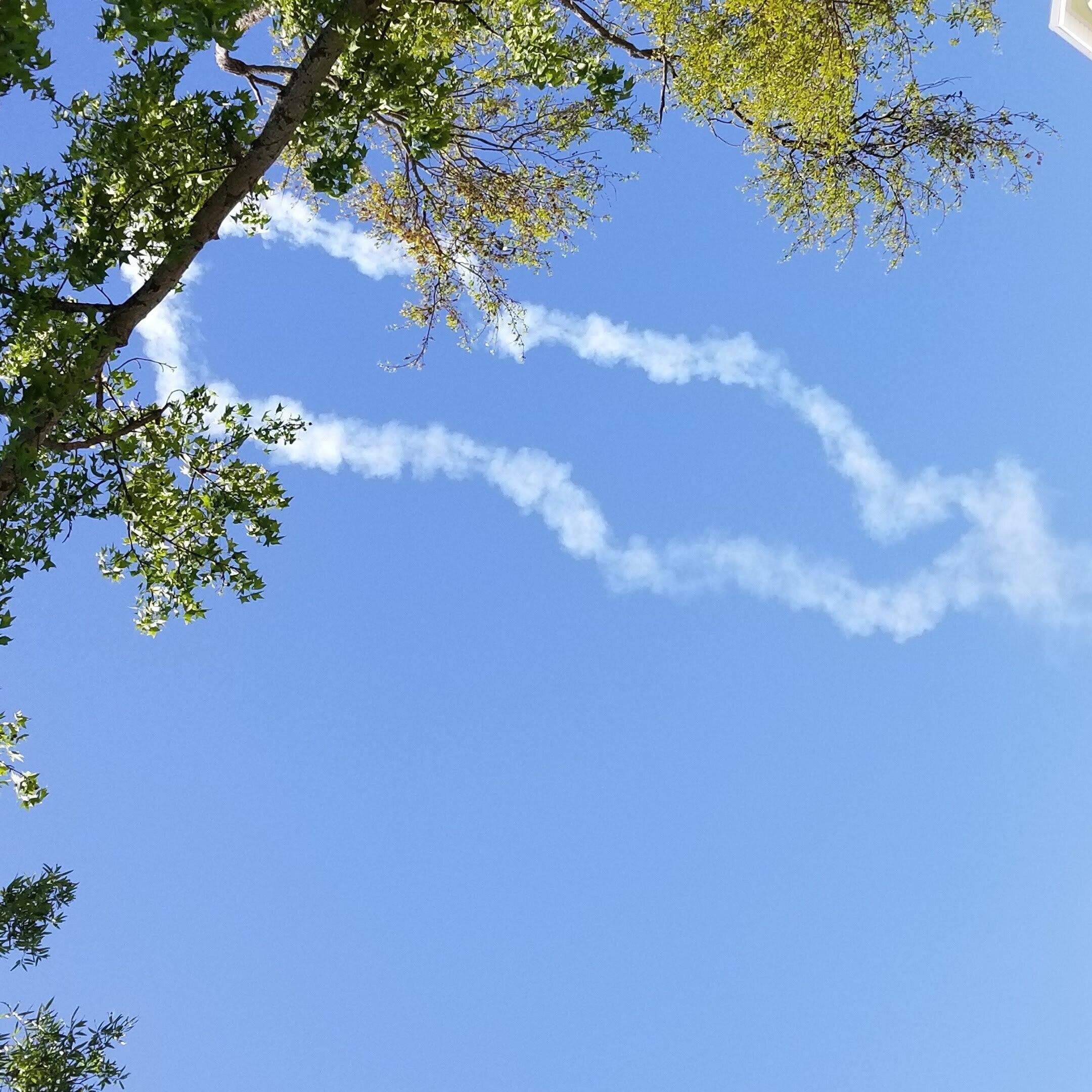 Un ciel d’un bleu limpide, traversé par une traînée blanche laissée par un avion.